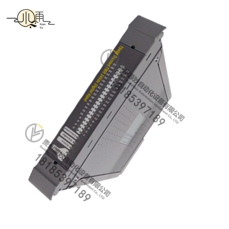 ICS TRIPLEX T8110C 电源模块控制器